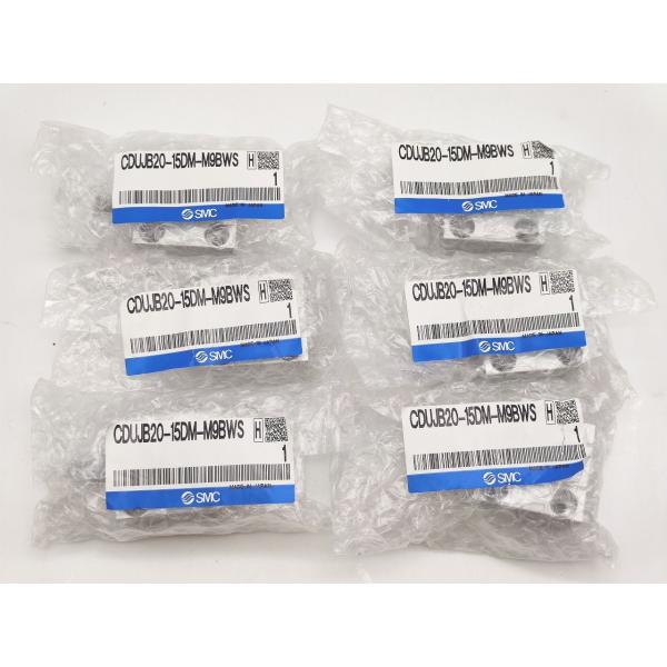 本体6点セット 新品 SMC CDUJB20-15DM-M9BWS