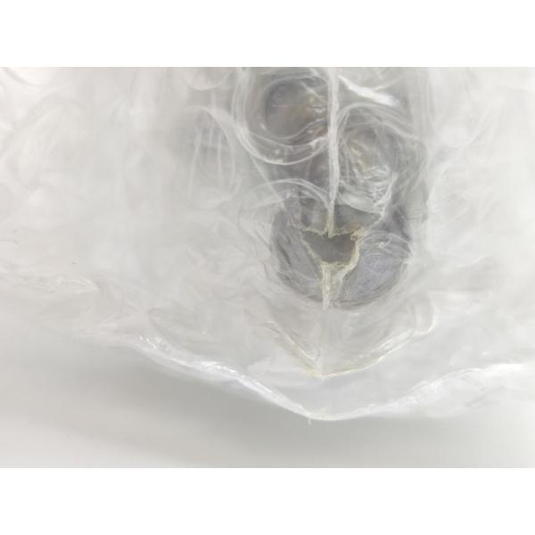 袋いたみあり 新品 SMC CDG1BN40-225Z