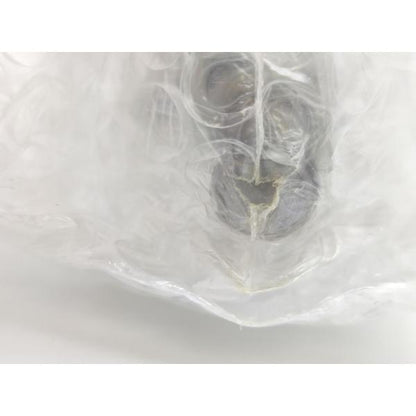 袋いたみあり 新品 SMC CDG1BN40-225Z